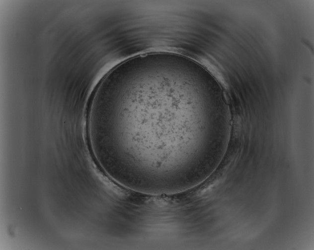 X0000093170955200709261525
