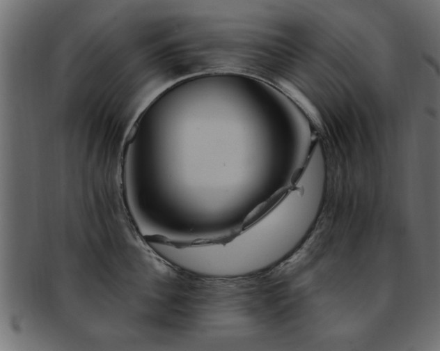 X0000093170956200709261525