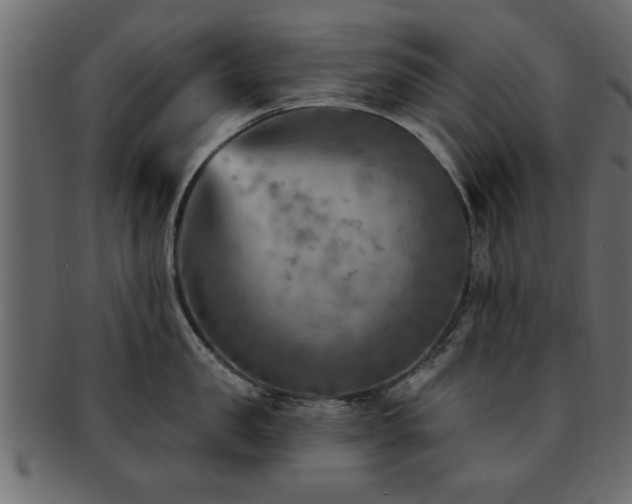 X0000093170957200709261525