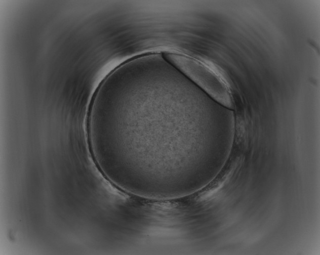 X0000093170959200709261525