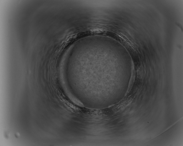 X0000093170961200709261525
