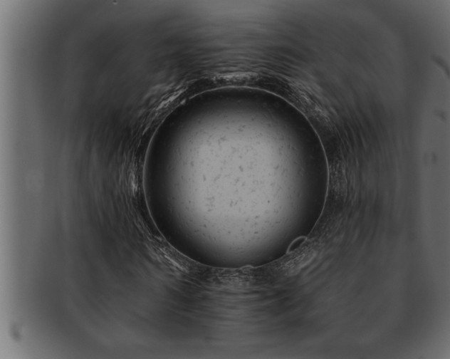 X0000093170962200709261525