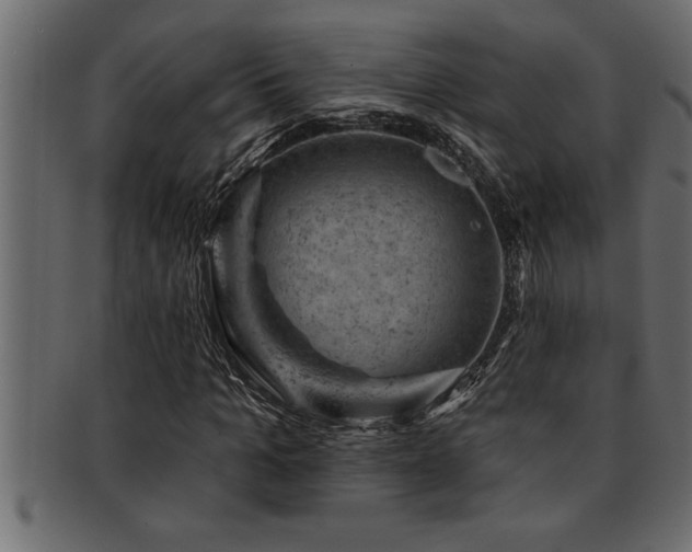 X0000093170965200709261525