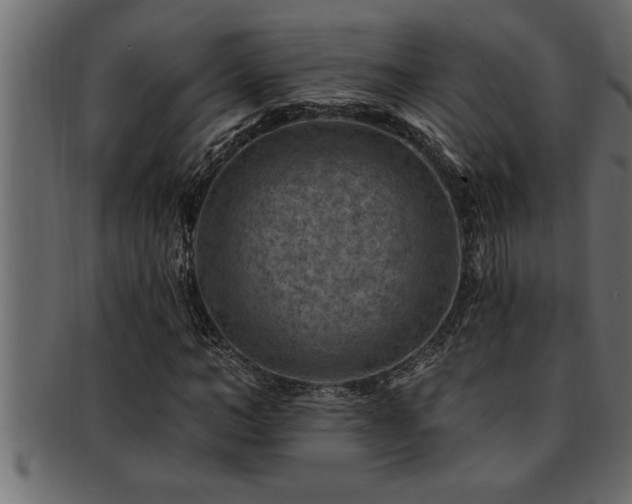 X0000093170966200709261525