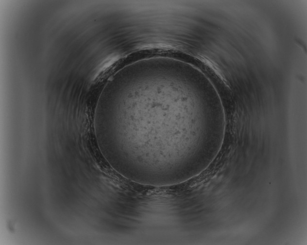 X0000093170967200709261525