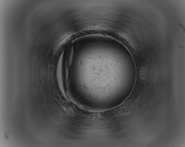 X0000093170968200709261525