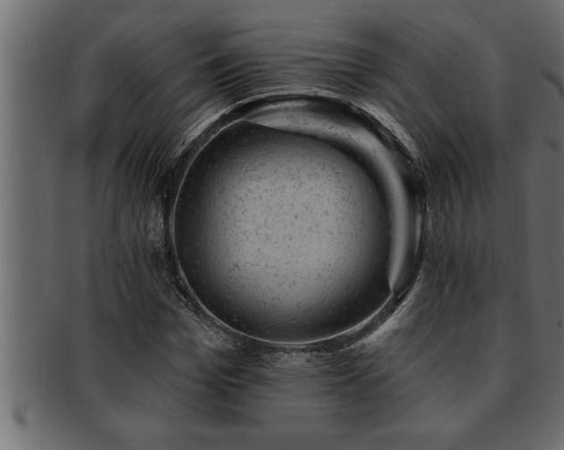 X0000093170969200709261525