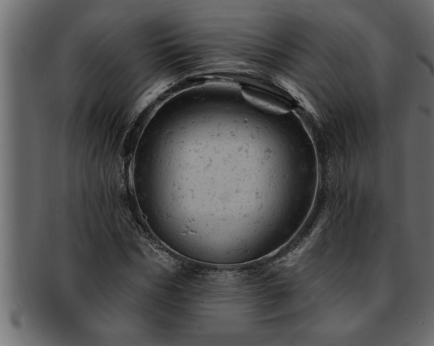 X0000093170970200709261525