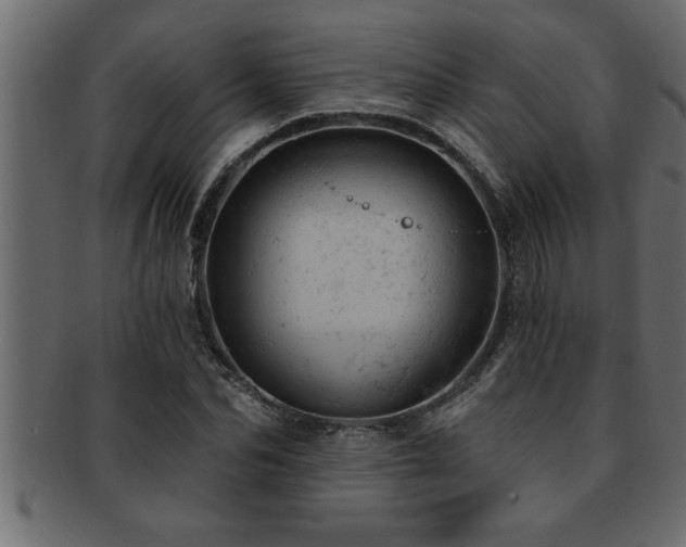X0000093170974200709261525