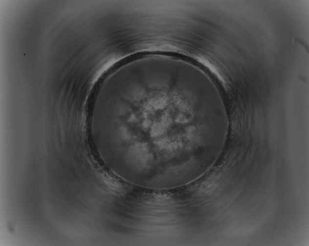 X0000093170975200709261525