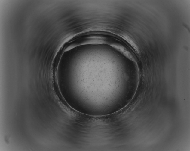X0000093170976200709261525