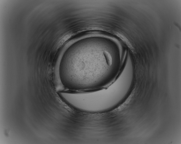 X0000093170977200709261525
