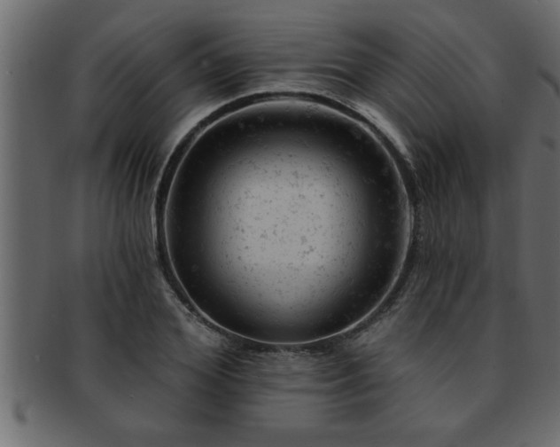 X0000093170980200709261525