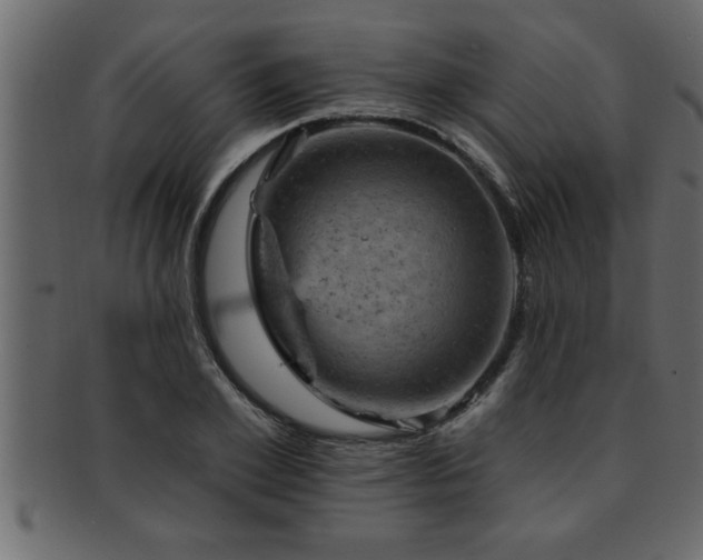 X0000093170981200709261525