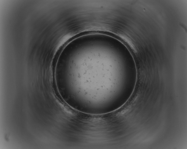 X0000093170982200709261524