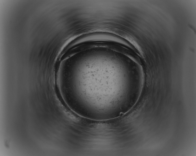 X0000093170984200709261524
