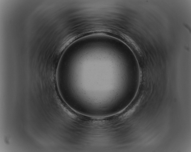 X0000093170985200709261524