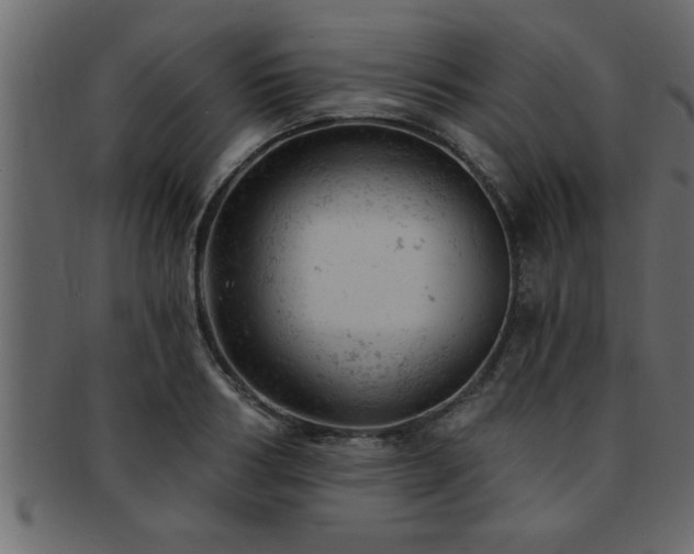 X0000093170986200709261524