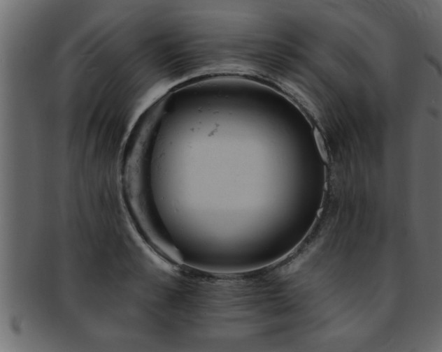 X0000093170989200709261524