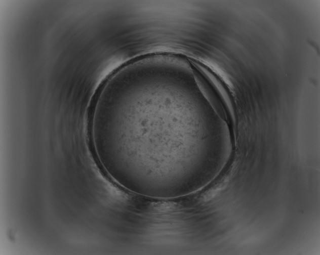 X0000093170991200709261524