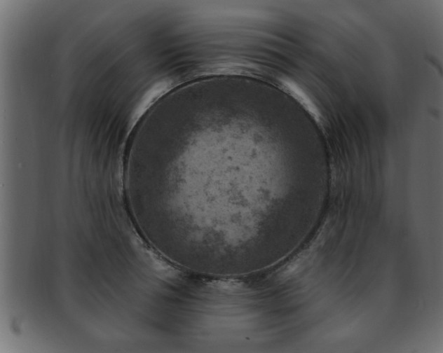 X0000093170994200709261524