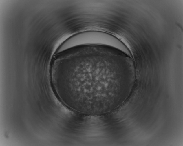 X0000093170995200709261524