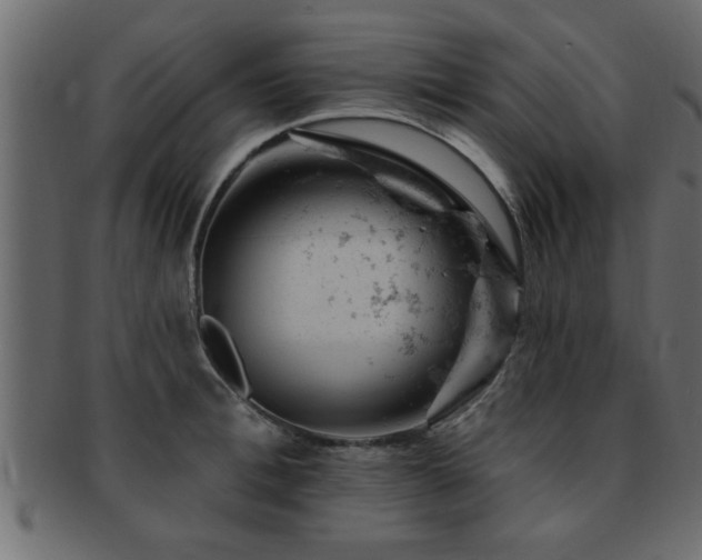 X0000093170996200709261524