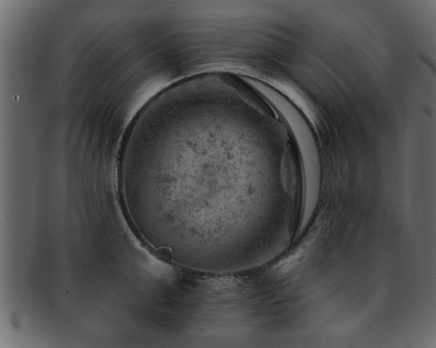 X0000093170999200709261524