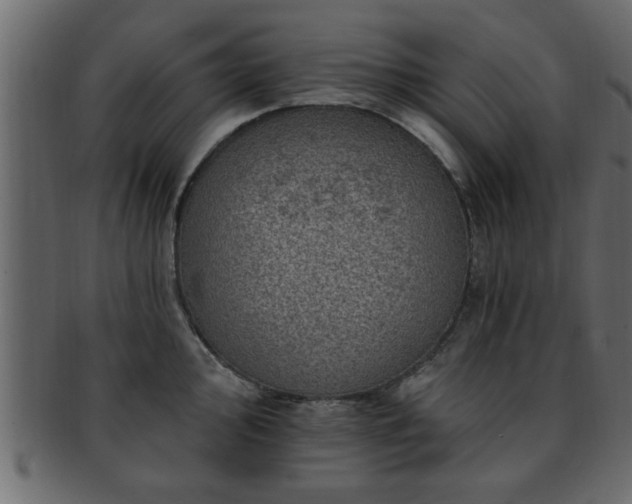 X0000093171000200709261524