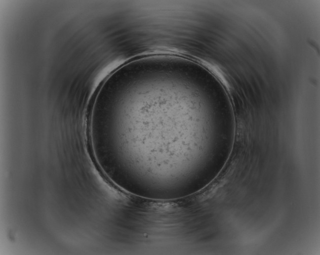 X0000093171003200709261524
