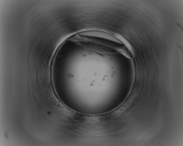 X0000093171004200709261524