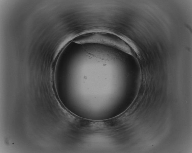 X0000093171006200709261524