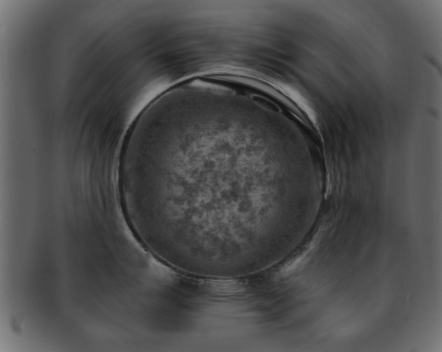 X0000093171007200709261524