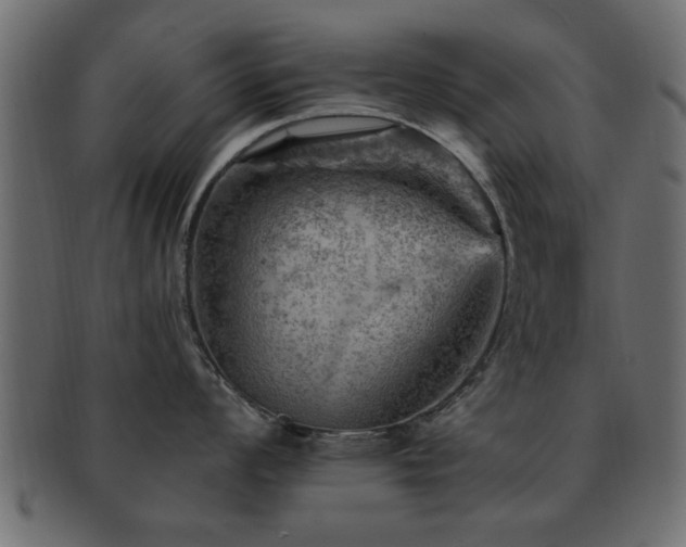 X0000093171008200709261524