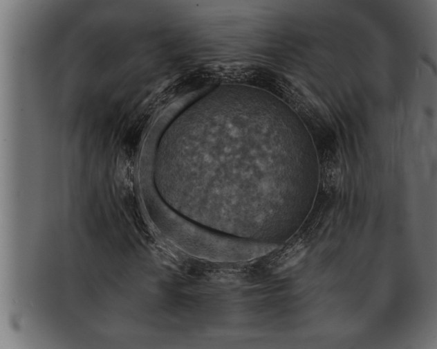 X0000093171010200709261524