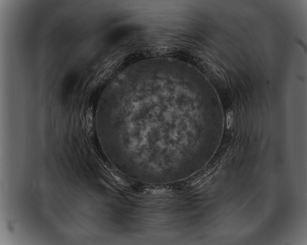 X0000093171011200709261524