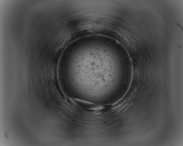 X0000093171012200709261524