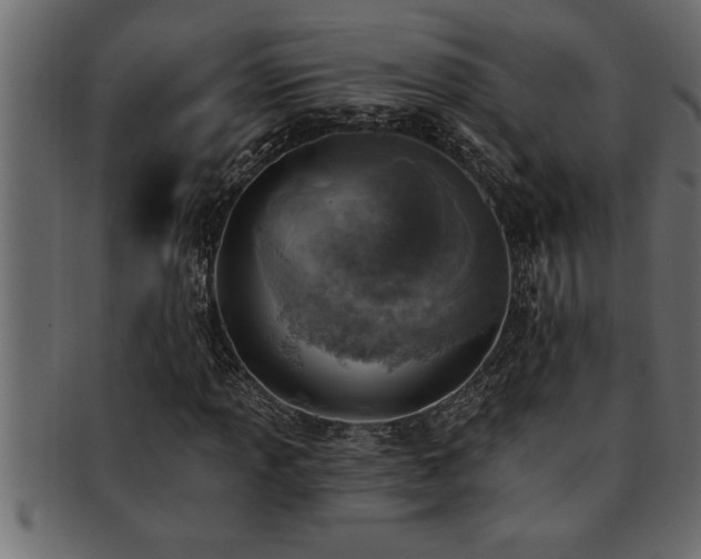 X0000093171013200709261524