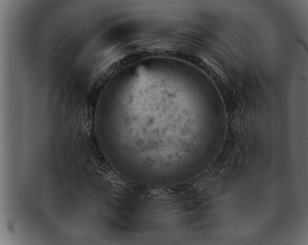 X0000093171015200709261524