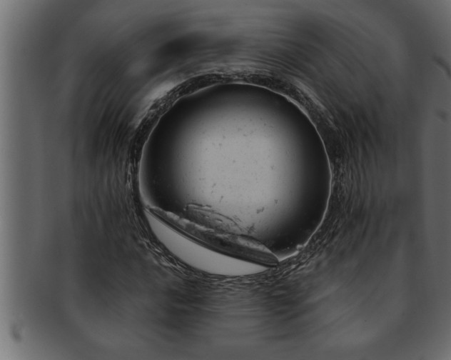 X0000093171016200709261524