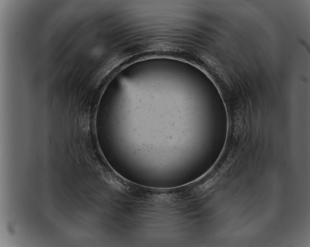 X0000093171017200709261524