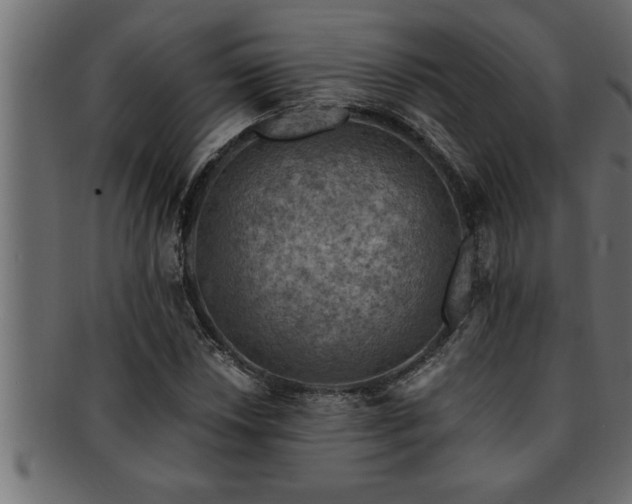 X0000093171018200709261524