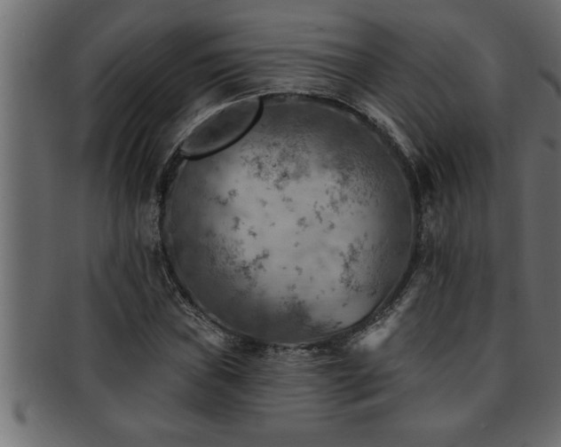 X0000093171019200709261524