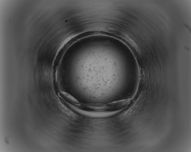 X0000093171020200709261524