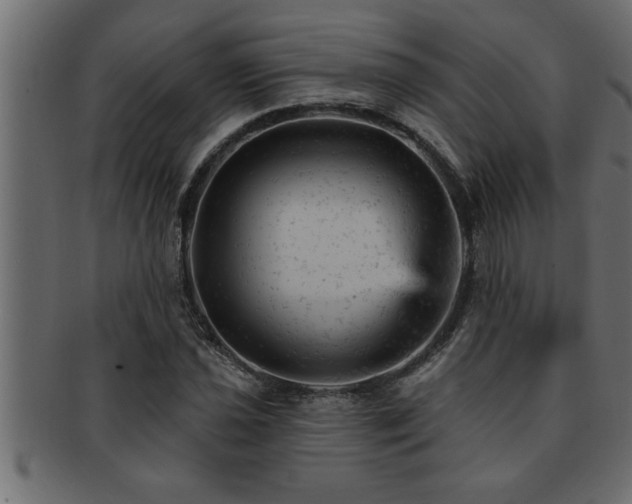 X0000093171021200709261524