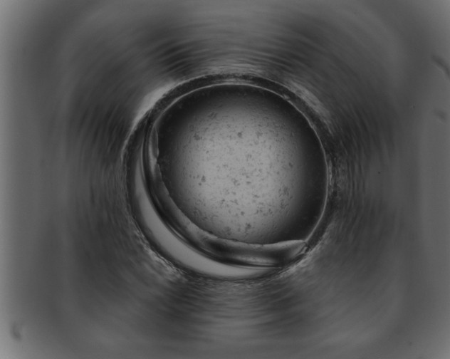 X0000093171022200709261524