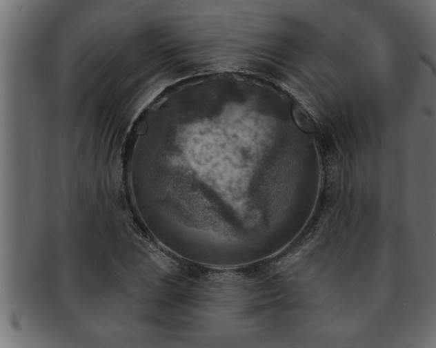 X0000093171023200709261524