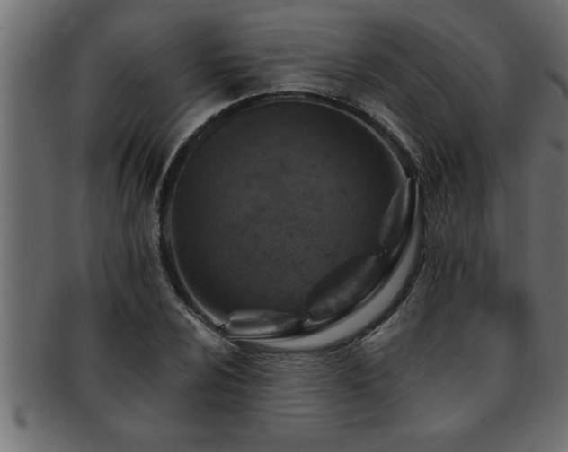 X0000093171024200709261524