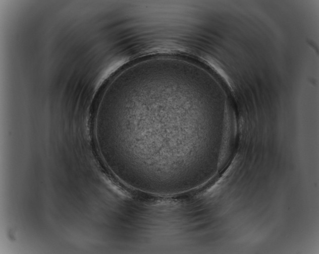 X0000093171026200709261524