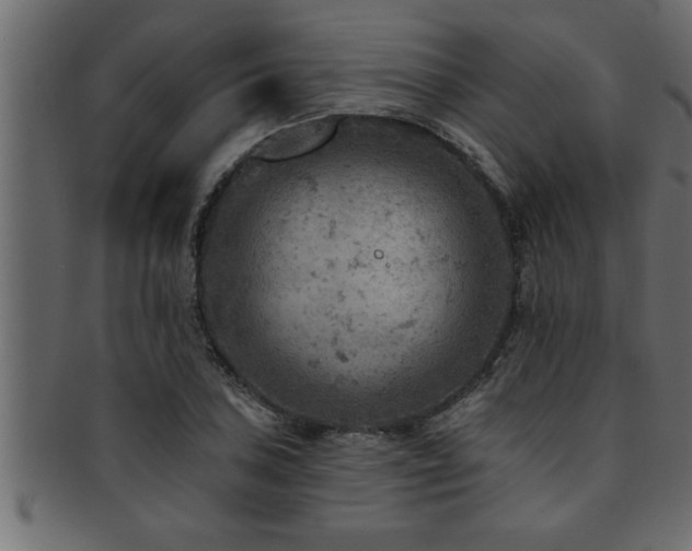 X0000093171027200709261524